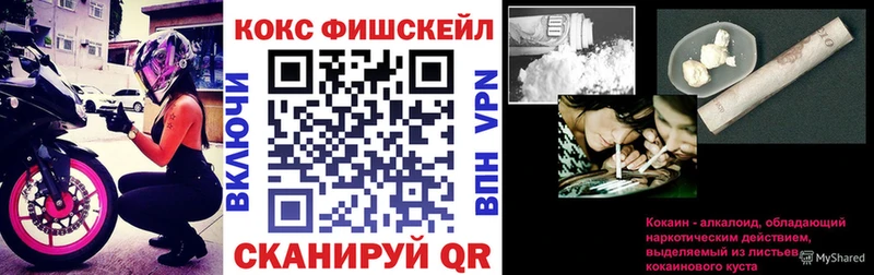 Купить закладки  Камышлов  Кокаин Fish Scale 