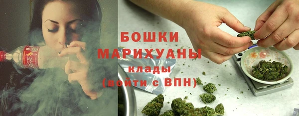 крисы Няндома