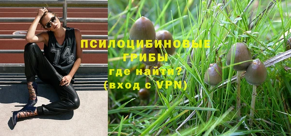 крисы Няндома