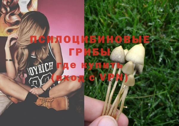 крисы Няндома