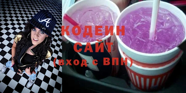 крисы Няндома