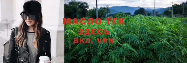 крисы Няндома